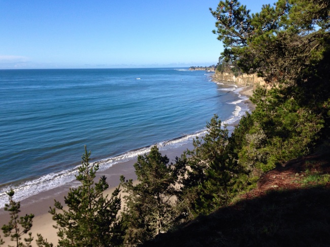 Looking down the bluffs at the Pacific Ocean from New Brighton Campground